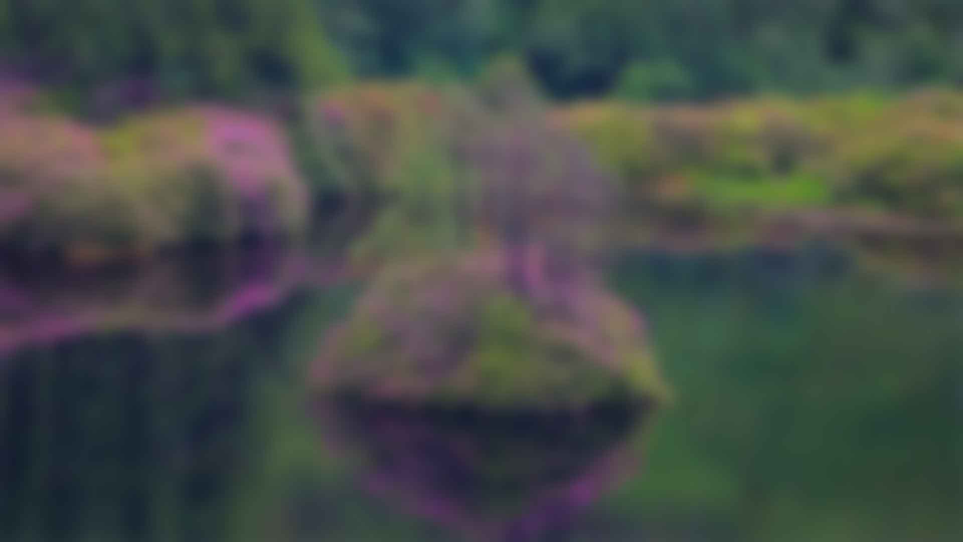 健身：拥抱最新91视频观看与活力的生活方式