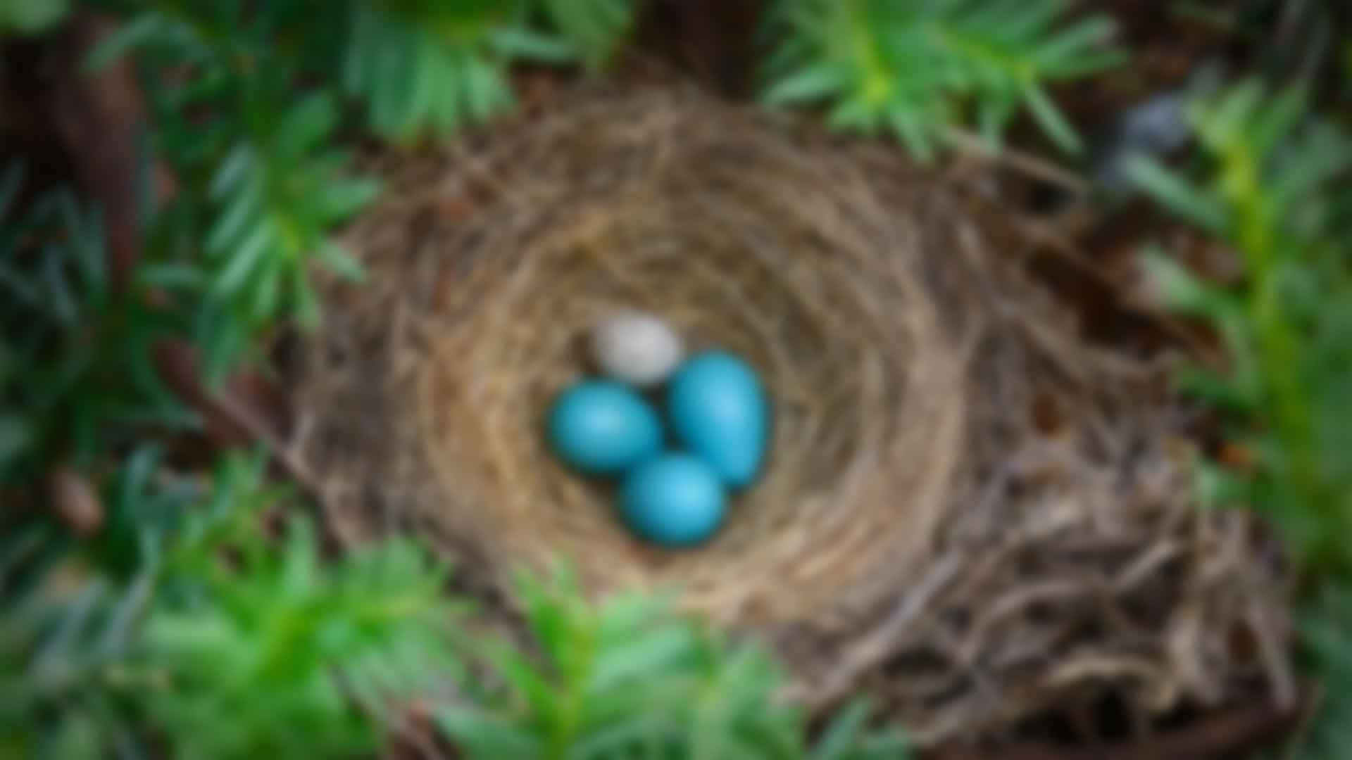 健身：拥抱最新91视频观看与活力的生活方式